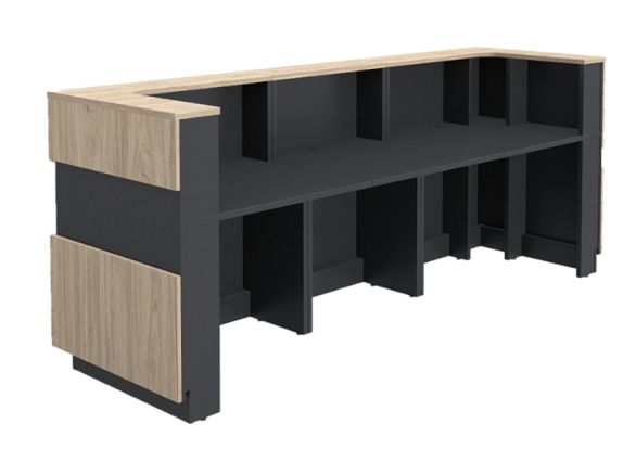 РЕЦЕПЦИЯ JOY ЪГЛОВ МОДУЛ ЛЯВ ДЕКОРАЦИЯ ДЪГА