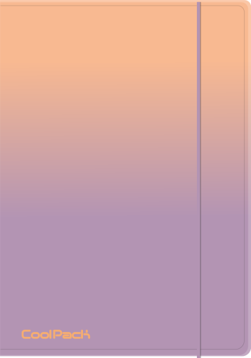 Папка A4 с ластик Gradient Berry