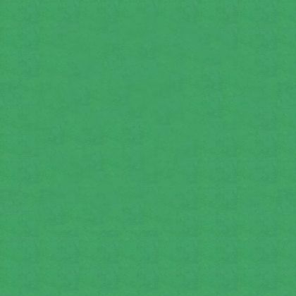 Цветен картон Fabriano Colore 100/70 cm 200 g/m² зелен