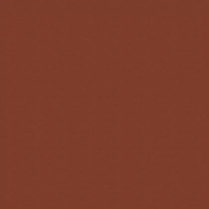 Цветен картон Fabriano Colore 100/70 cm 200 g/m² кафяв