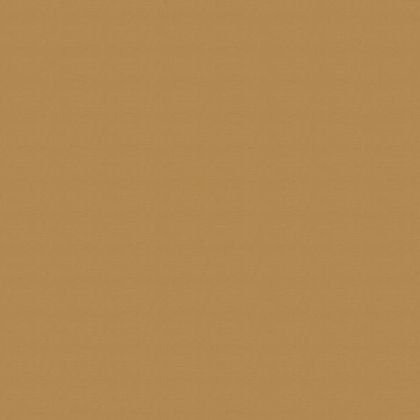 Цветен картон Fabriano Colore 100/70 cm 200 g/m² светло кафяв