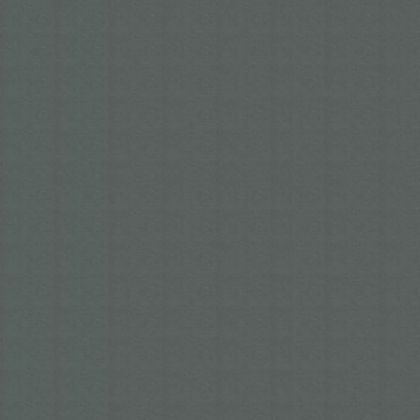 Цветен картон Fabriano Colore 100/70 cm 200 g/m² тъмно сив