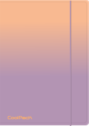Папка A4 с ластик Gradient Berry