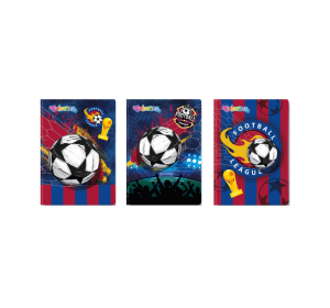 Тетрадка A5 мека корица 32 л. ред Football Colorino