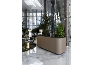 РЕЦЕПЦИЯ POINT ПРАВ ВЪНШЕН МОДУЛ ЛЯВ 100/80/112.5