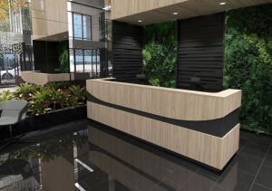 РЕЦЕПЦИЯ JOY ПРАВ МОДУЛ 50/80/112.5