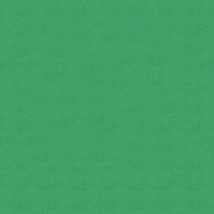 Цветен картон Fabriano Colore 100/70 cm 200 g/m² зелен