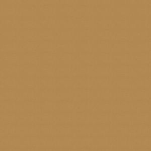 Цветен картон Fabriano Colore 100/70 cm 200 g/m² светло кафяв