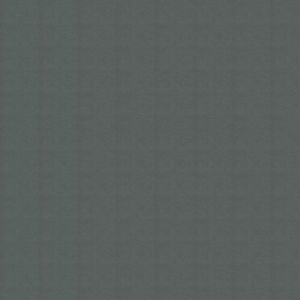 Цветен картон Fabriano Colore 100/70 cm 200 g/m² тъмно сив