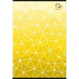 Trendy Color A4 тетрадка за момче 40л шита