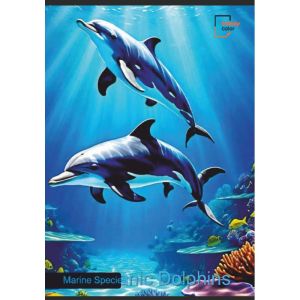 Trendy Color A4 тетрадка за момиче 80л шита