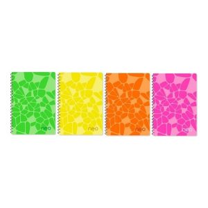 Trendy Color A4 тетрадка за момче 100л PP ШР